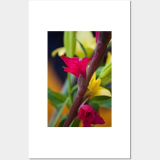 Tropical Bouquet Posters and Art